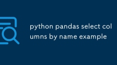 python pandas select columns by name example