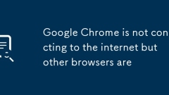 Google Chrome is not connecting to the internet but other browsers are