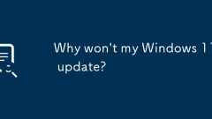 Why won't my Windows 11 update?