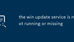 the win update service is not running or missing