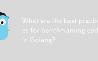 Golang基準代碼的最佳實踐是什麼?