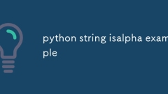 python string isalpha example