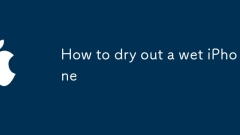 How to dry out a wet iPhone