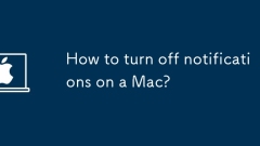 Bagaimana untuk mematikan pemberitahuan pada Mac?