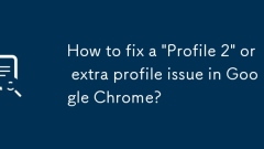 So beheben Sie ein 'Profil 2' oder ein zus?tzliches Profil in Google Chrome?