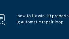 So reparieren Sie Gewinn 10 Vorbereitung der automatischen Reparaturschleife