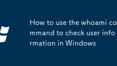 Comment utiliser la commande whoami pour vérifier les informations de l'utilisateur dans Windows