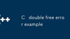 C double free error example
