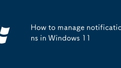 Comment gérer les notifications dans Windows 11