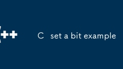 C set a bit example