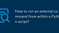 How to run an external command from within a Python script?