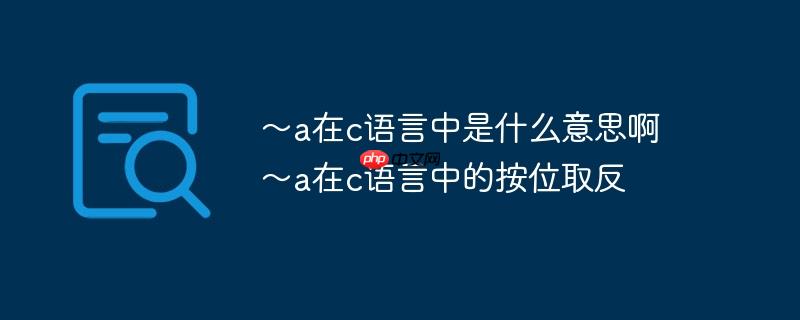 ~a在c语言中是什么意思啊 ~a在c语言中的按位取反