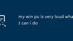 Mein Win -PC ist sehr laut, was kann ich tun
