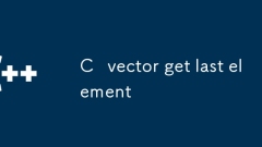 C vector get last element