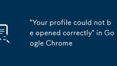 'Ihr Profil konnte nicht korrekt ge?ffnet werden' in Google Chrome