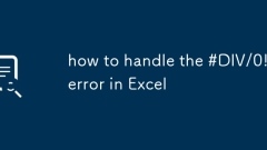 Wie gehe ich mit dem #Div/0 um! Fehler in Excel