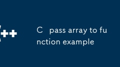 C pass array to function example