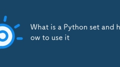 What is a Python set and how to use it