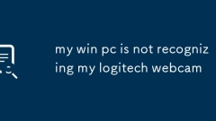 Mein Win -PC erkennt meine Logitech -Webcam nicht
