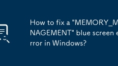 Wie repariere ich einen Blue -Screen -Fehler 'mpaem memory_management' in Windows?