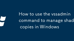 vssadmin ??? ???? Windows?? ??? ??? ???? ??