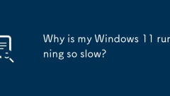 Pourquoi mon Windows 11 est-il si lent?