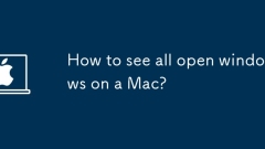 Wie sehe ich alle offenen Windows auf einem Mac?