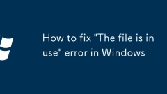 So beheben Sie 'Die Datei wird verwendet' Fehler in Windows