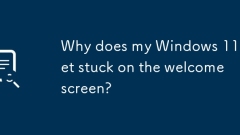 Mengapa Windows 11 saya terjebak di skrin selamat datang?