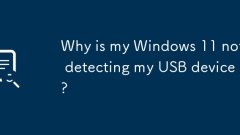 Mengapa Windows 11 saya tidak mengesan peranti USB saya?