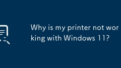 Mengapa pencetak saya tidak berfungsi dengan Windows 11?