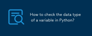 How to check the data type of a variable in Python?