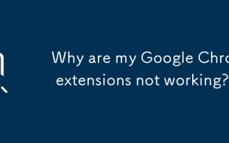 Warum funktionieren meine Google Chrome -Erweiterungen nicht?