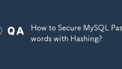 如何使用哈希保护MySQL密码?