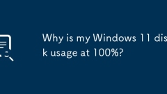 Mengapa penggunaan cakera Windows 11 saya pada 100%?