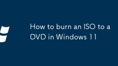 如何在Windows 11中將ISO燒到DVD