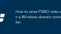 如何在Windows域控制器上抓住FSMO角色