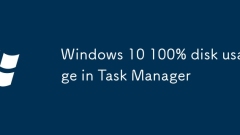 ?? ???? Windows 10 100% ??? ??