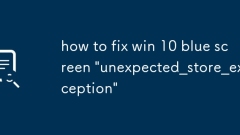 Cara Memperbaiki Win 10 Skrin Biru 'Tidak Dihantar_Store_Exception'