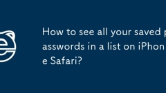 How to see all your saved passwords in a list on iPhone Safari?