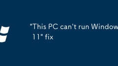 '? PC? Windows 11? ??? ? ????'??