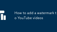如何在YouTube视频中添加水印