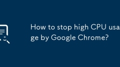 Chrome? ?? CPU ??? ???? ??? ??????