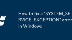 Windows?? 'System_Service_Exception'??? ???? ??