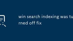Gewinn -Search -Indexierung wurde ausgeschaltet