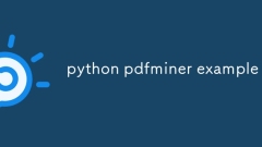 Exemple de Python PDFMiner