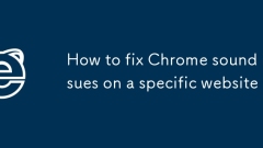 So beheben Sie Chrome Sound -Probleme auf einer bestimmten Website