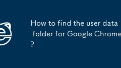 Wie finde ich den Benutzerdatenordner für Google Chrome?