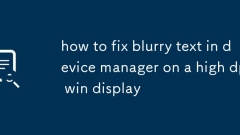 So reparieren Sie verschwommene Texte im Ger?te -Manager auf einem hohen DPI -Sieg -Display