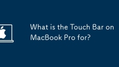 Apakah bar sentuh di MacBook Pro?